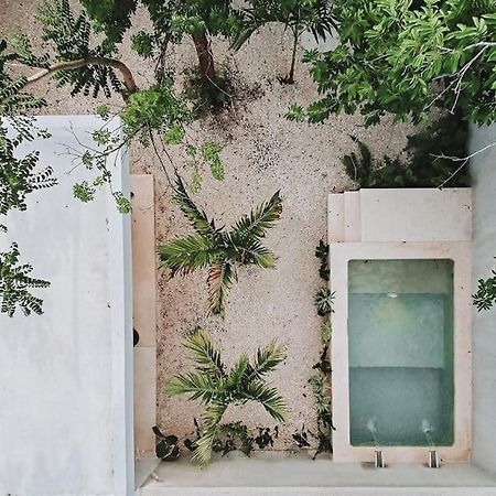 فيلا La Sultana: Amazing New House With Pool And Bikes Included. فالادوليد المظهر الخارجي الصورة