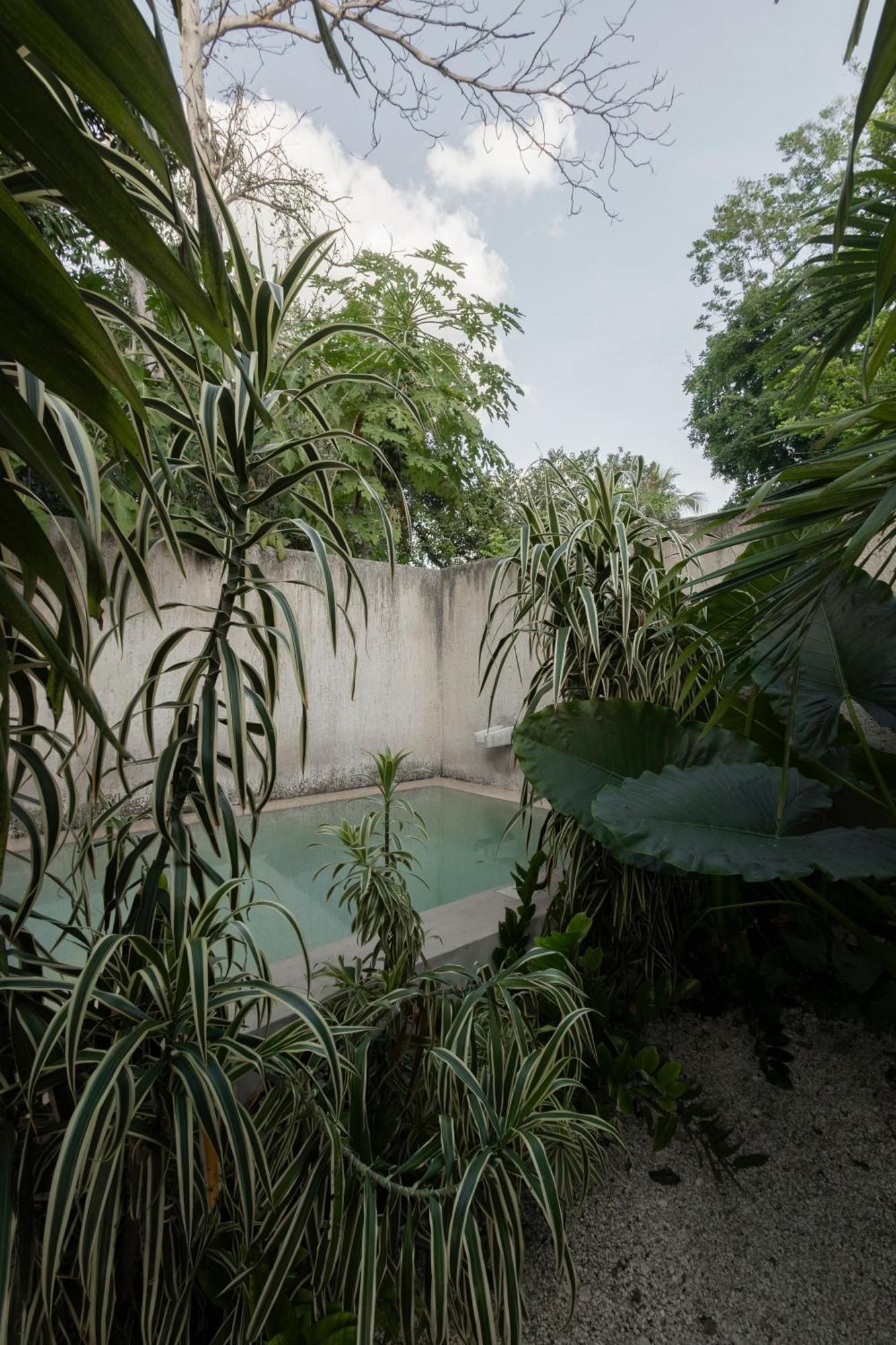فيلا La Sultana: Amazing New House With Pool And Bikes Included. فالادوليد المظهر الخارجي الصورة