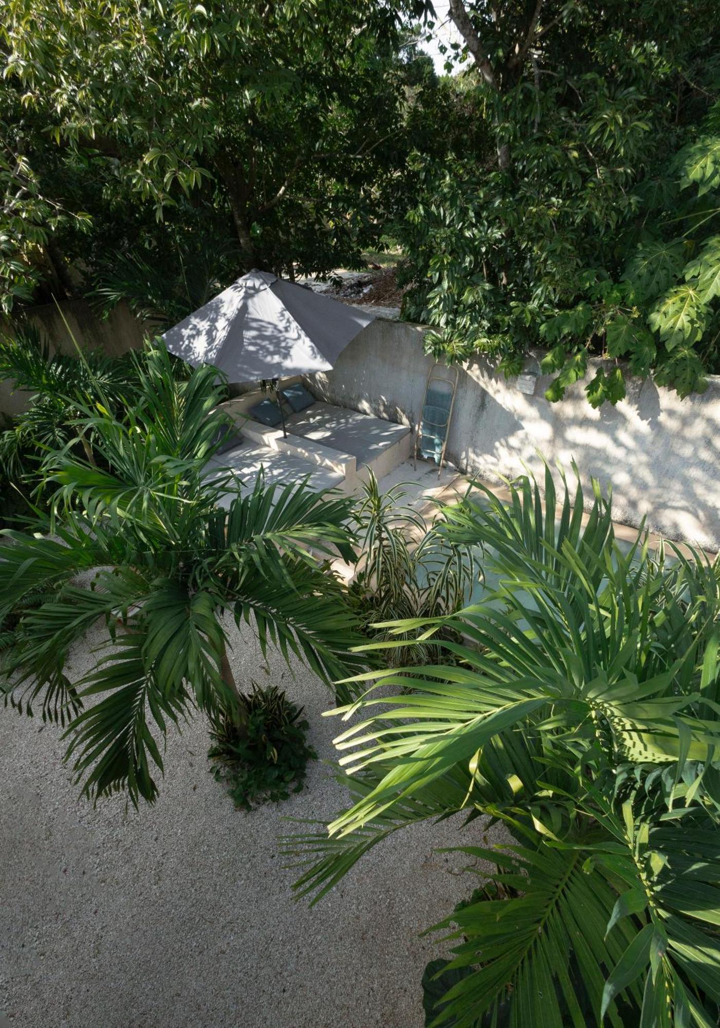 فيلا La Sultana: Amazing New House With Pool And Bikes Included. فالادوليد المظهر الخارجي الصورة