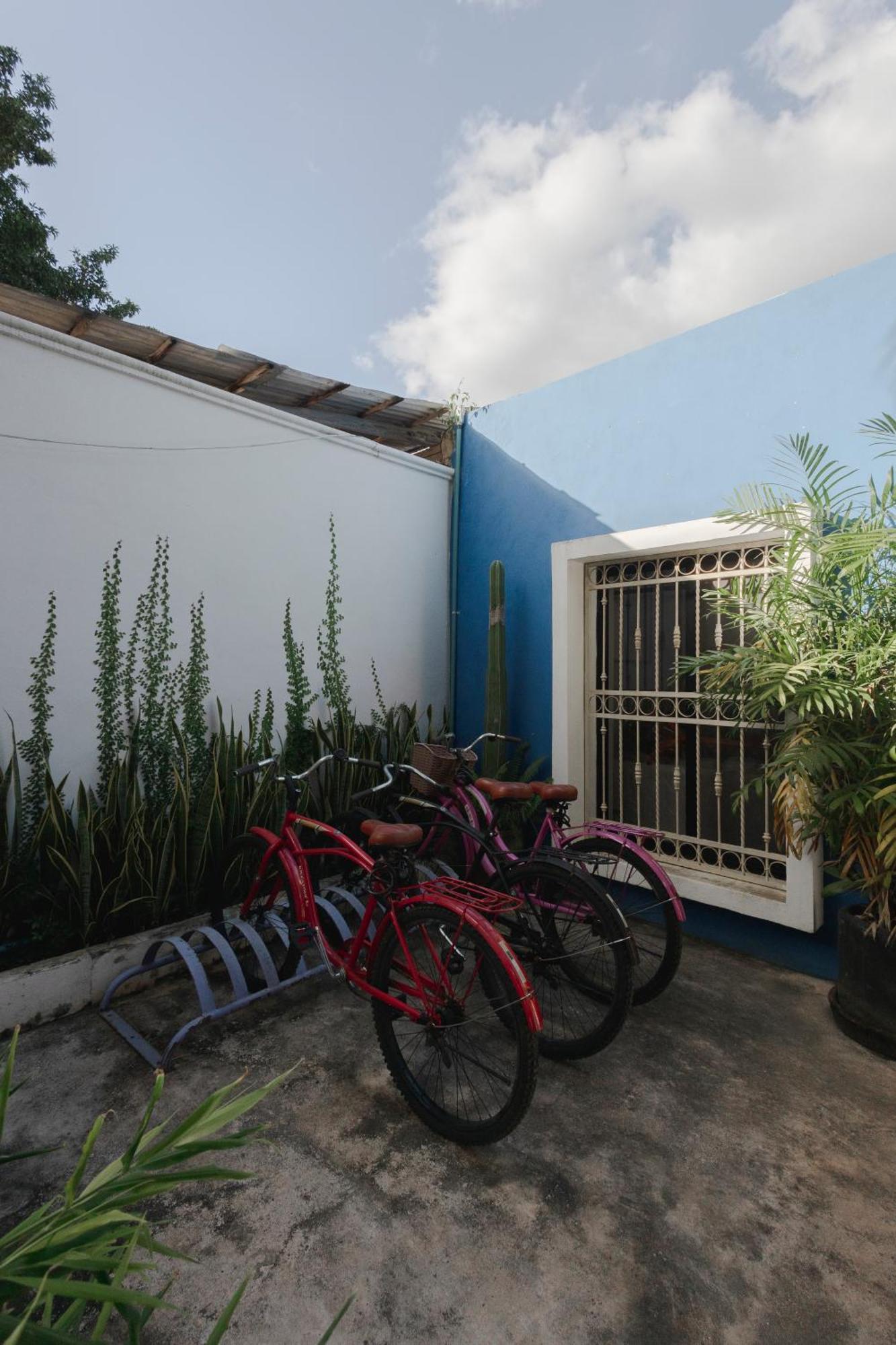 فيلا La Sultana: Amazing New House With Pool And Bikes Included. فالادوليد المظهر الخارجي الصورة